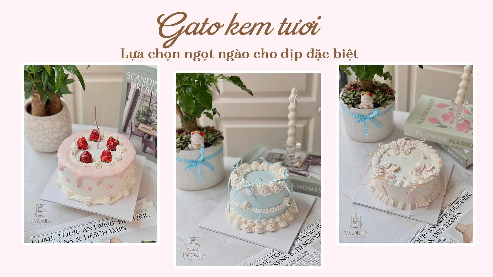 Gato kem tươi xinh